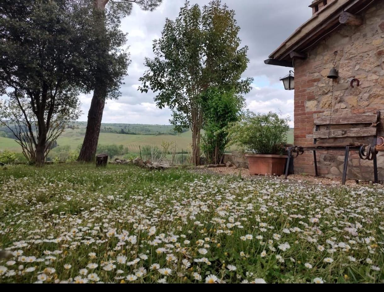 시에나 Il Giardino Del Chianti 아파트 외부 사진
