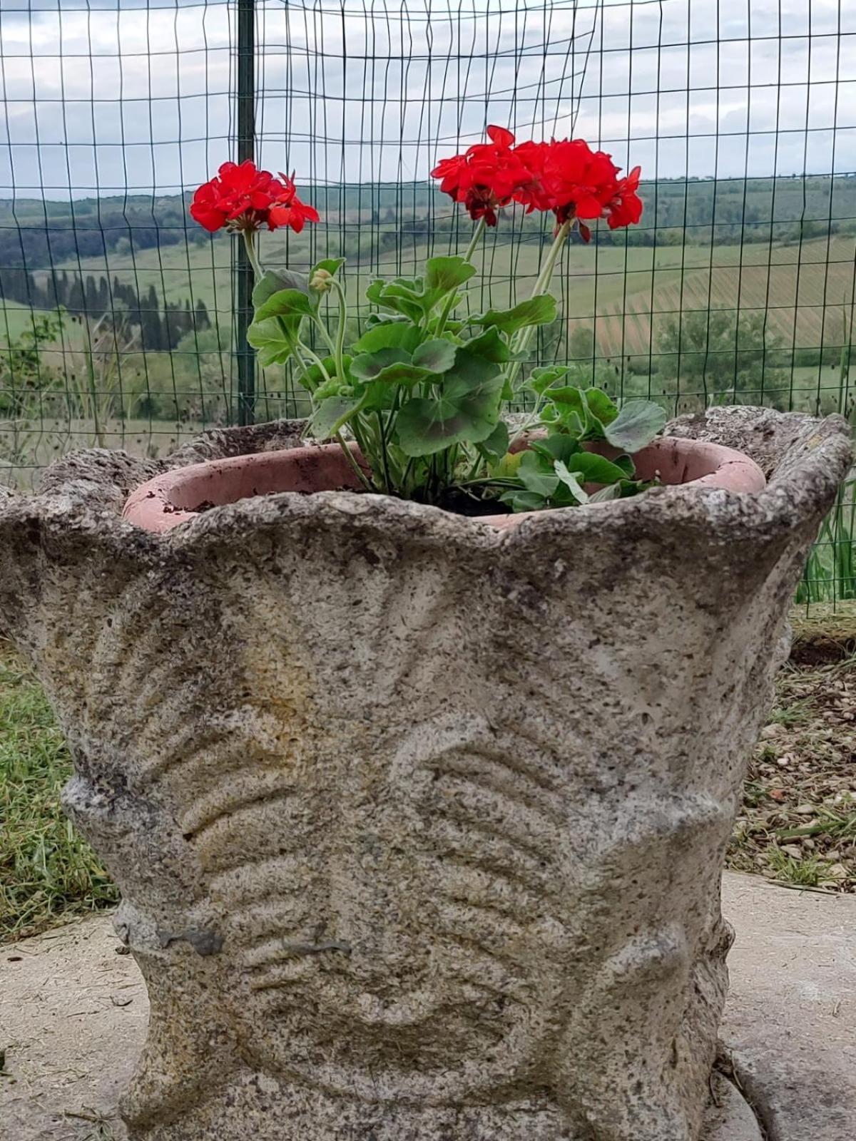 시에나 Il Giardino Del Chianti 아파트 외부 사진
