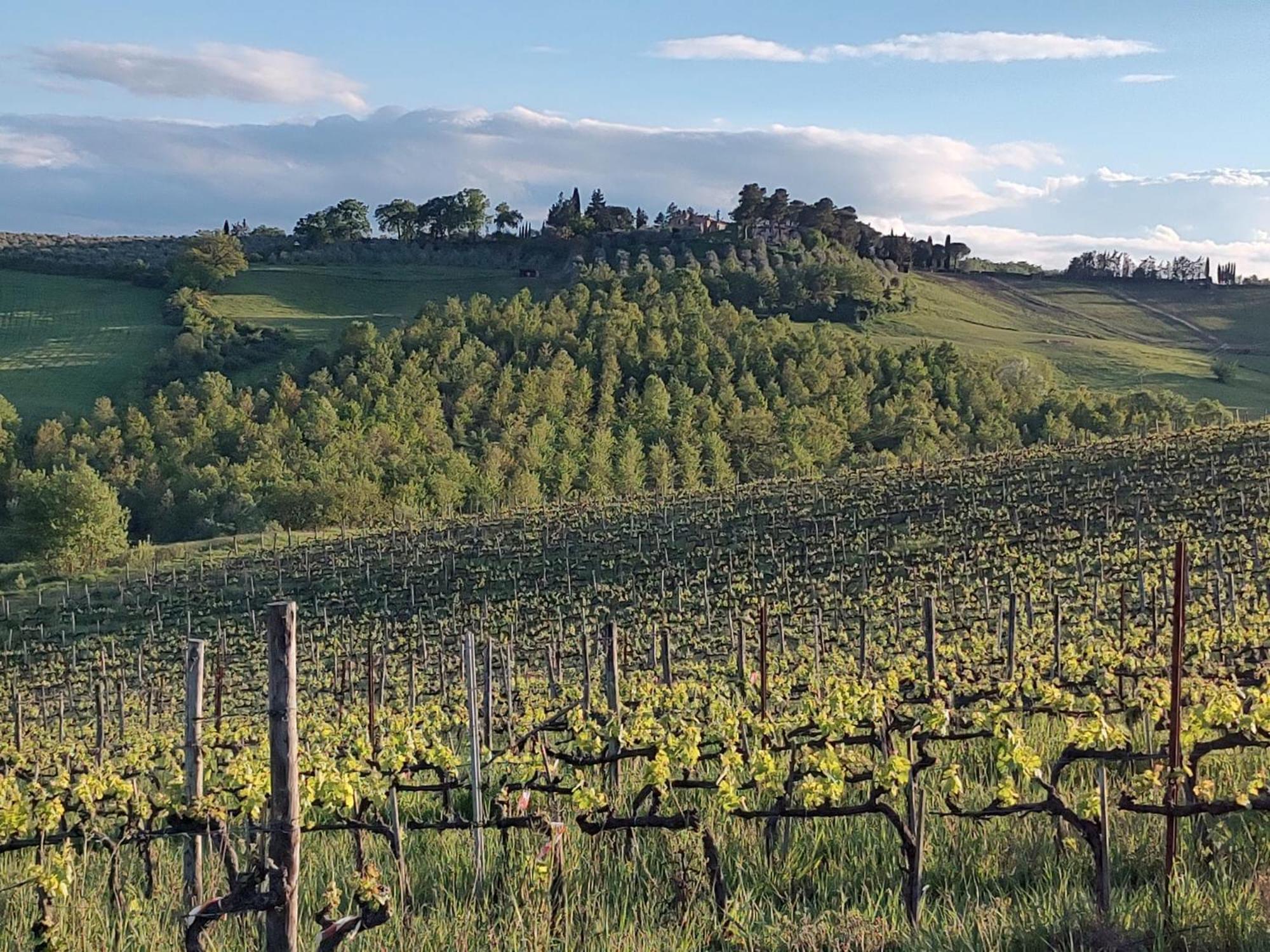 시에나 Il Giardino Del Chianti 아파트 외부 사진
